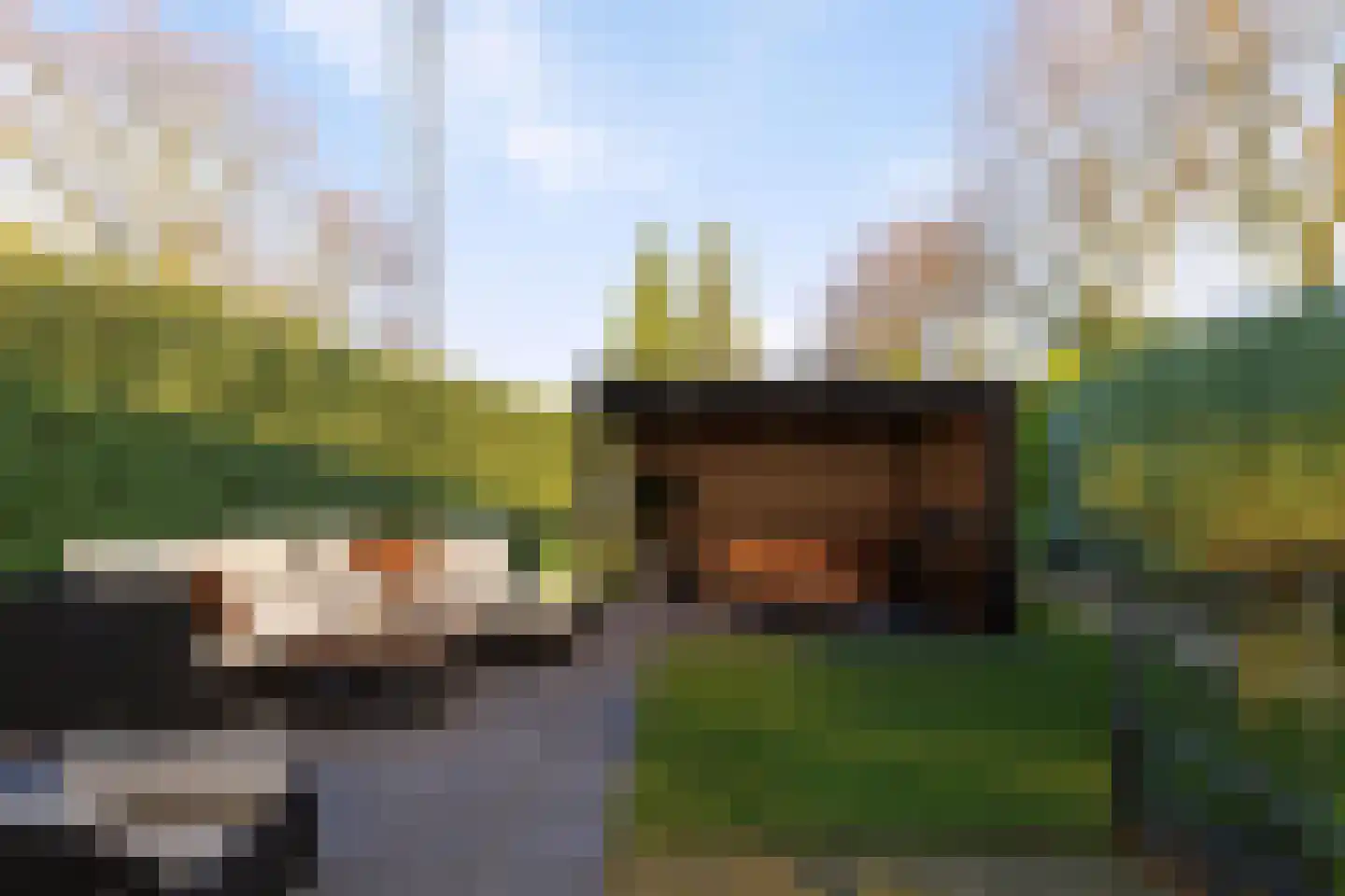 Dorpsstraat 57 Nispen thumbnail 34