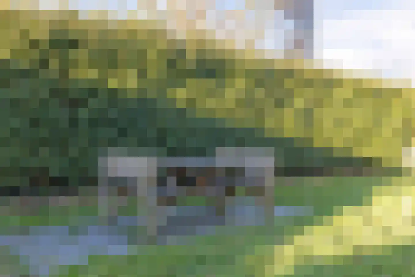 Dorpsstraat 57 Nispen thumbnail 35