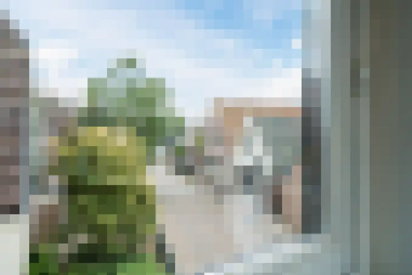 Dorpsstraat 572 Noord-Scharwoude thumbnail 20