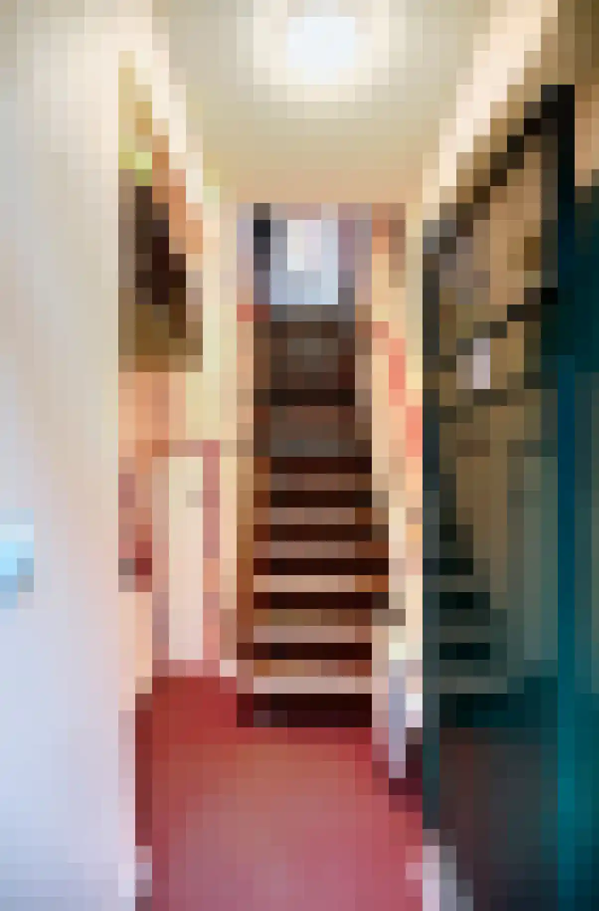 Dorpsstraat 58 a Bemmel thumbnail 7