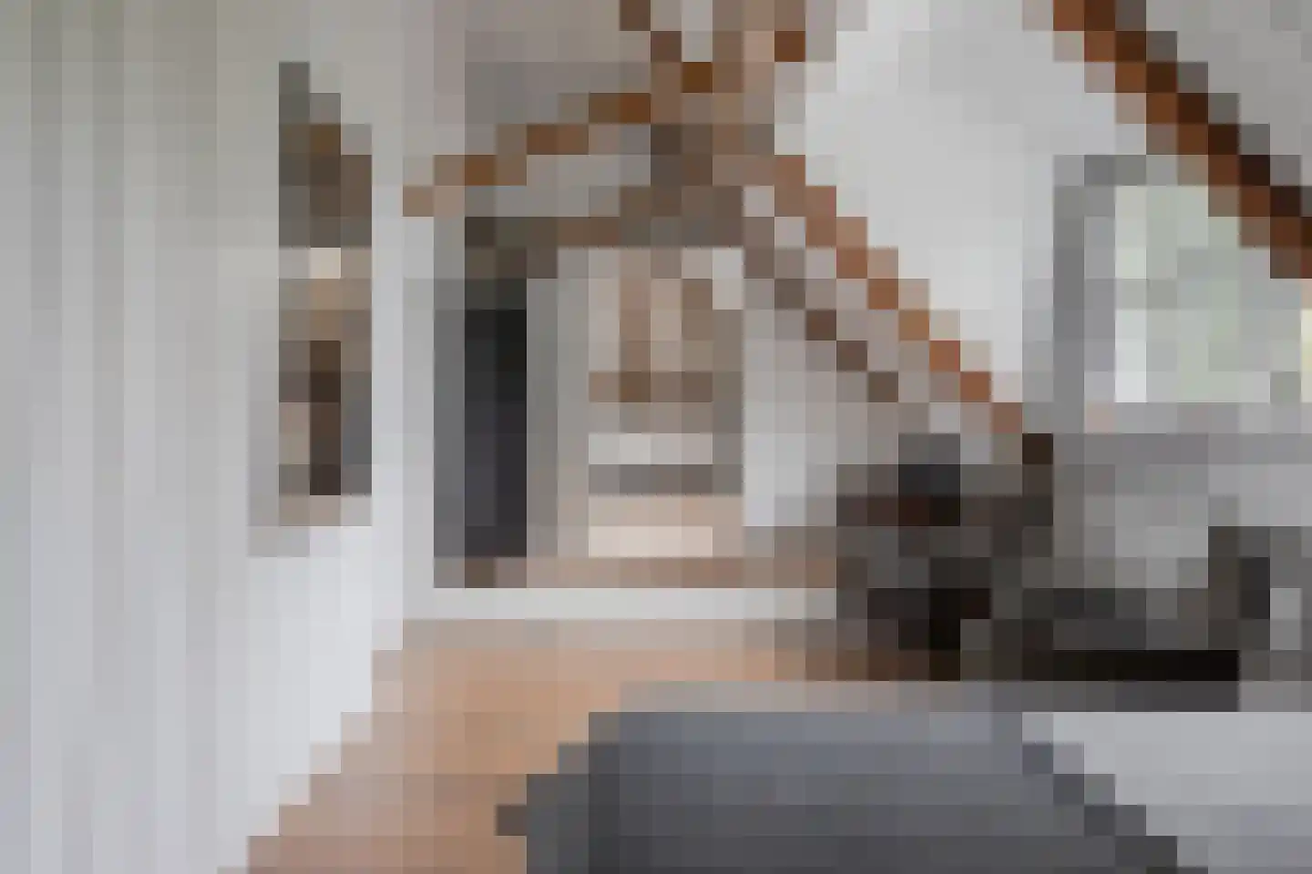 Dorpsstraat 58 Abbekerk thumbnail 17