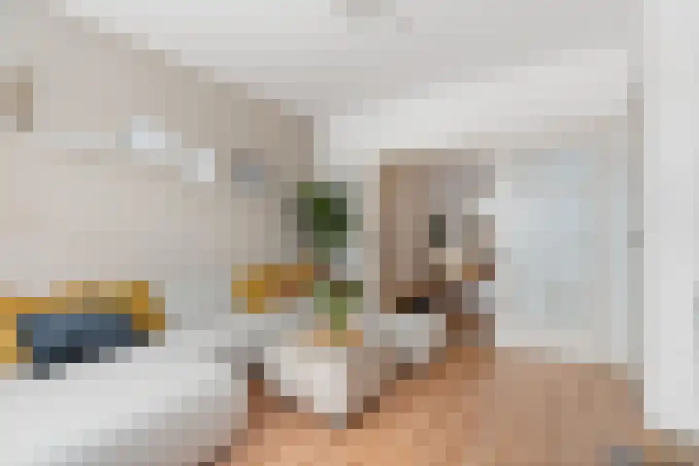 Dorpsstraat 58 Afferden L thumbnail 10