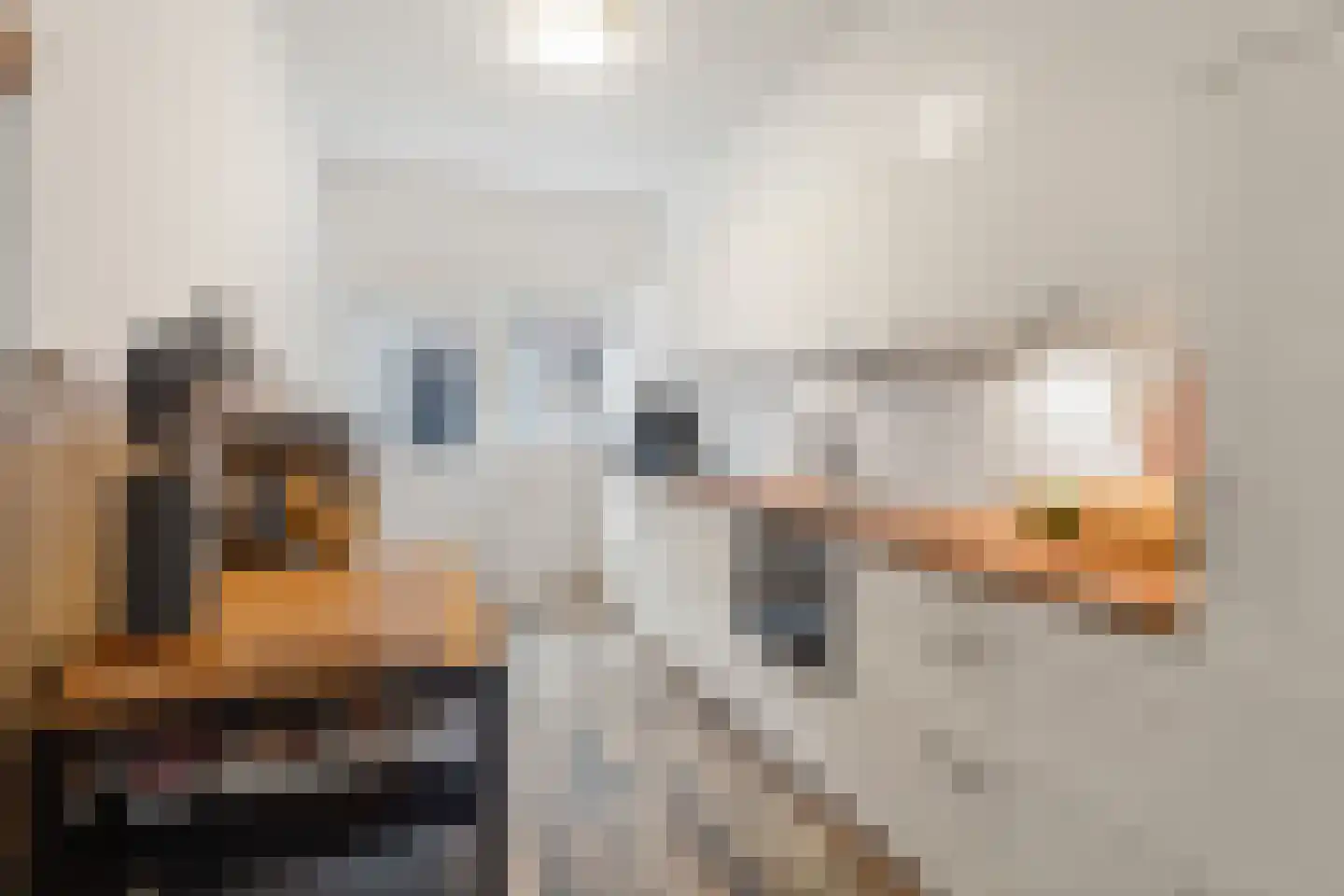 Dorpsstraat 58 Afferden L thumbnail 13
