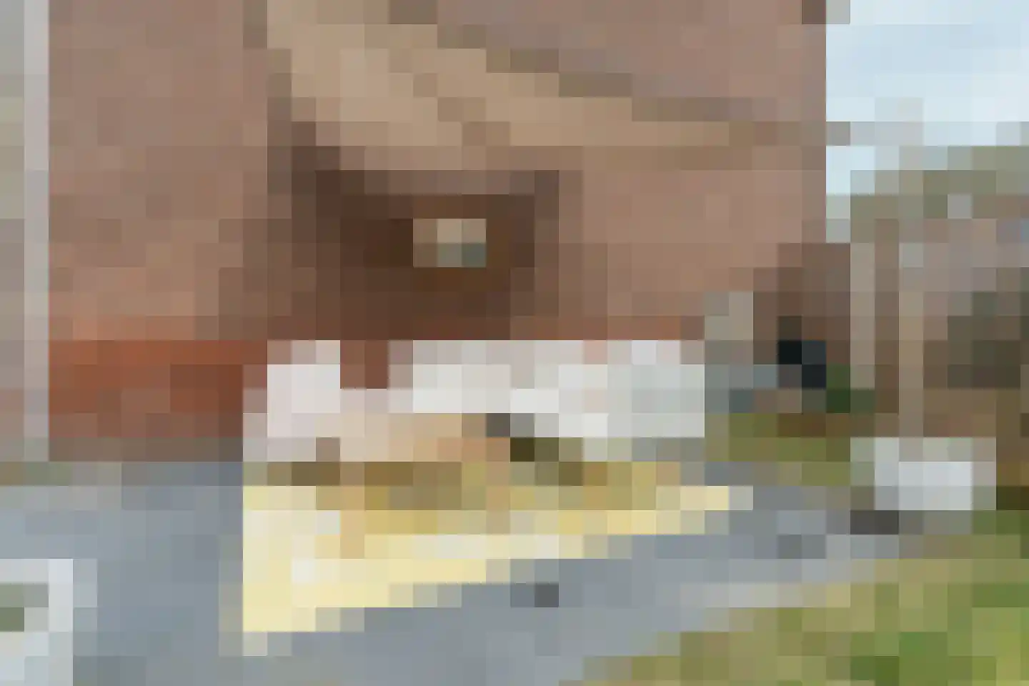 Dorpsstraat 58 Afferden L thumbnail 22