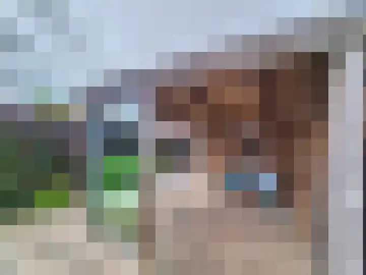 Dorpsstraat 58 Breskens thumbnail 38
