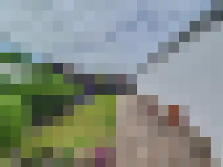 Dorpsstraat 58 Breskens thumbnail 44