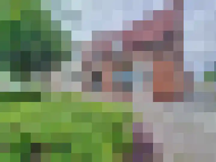 Dorpsstraat 58 Breskens thumbnail 51