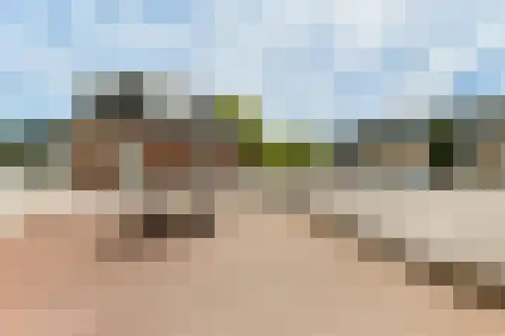 Dorpsstraat 58 Landsmeer thumbnail 24