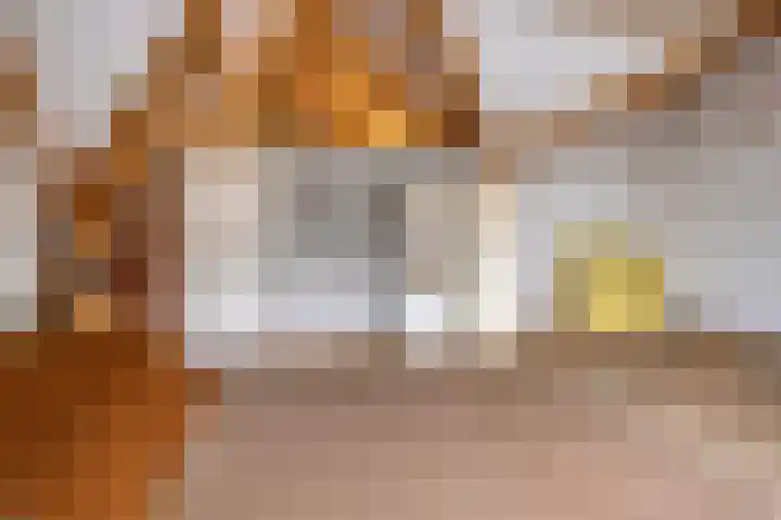 Dorpsstraat 58 Renswoude thumbnail 31