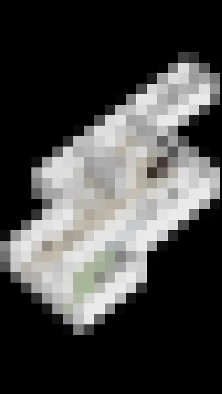 Dorpsstraat 58 Renswoude thumbnail 52
