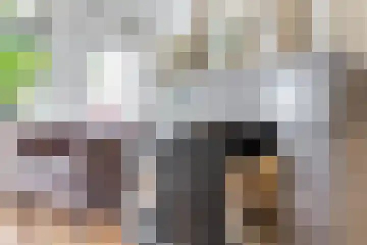 Dorpsstraat 58 Zevenhuizen thumbnail 10