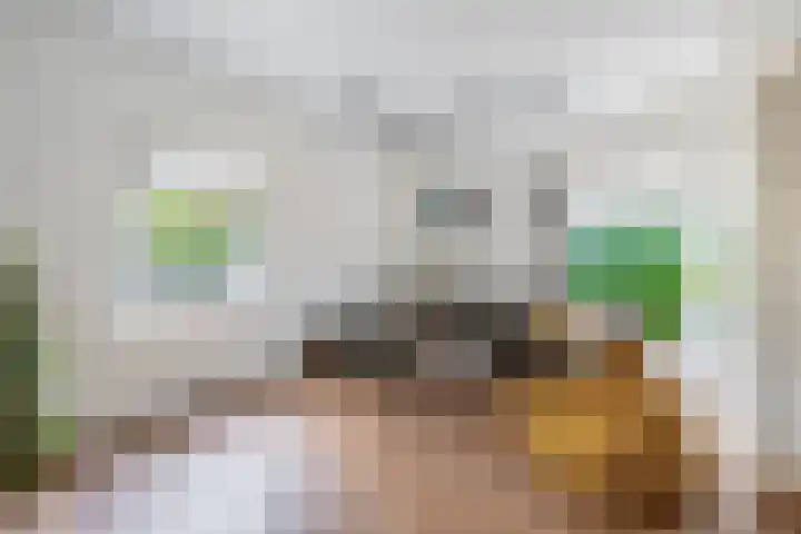Dorpsstraat 58 Zevenhuizen thumbnail 13