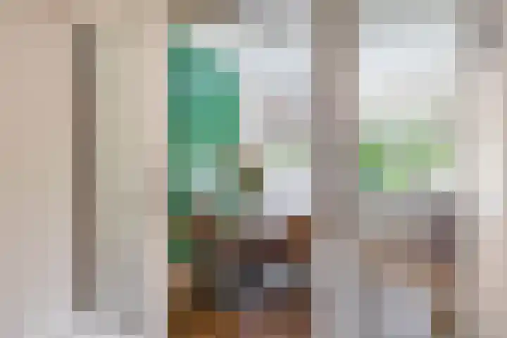 Dorpsstraat 58 Zevenhuizen thumbnail 8