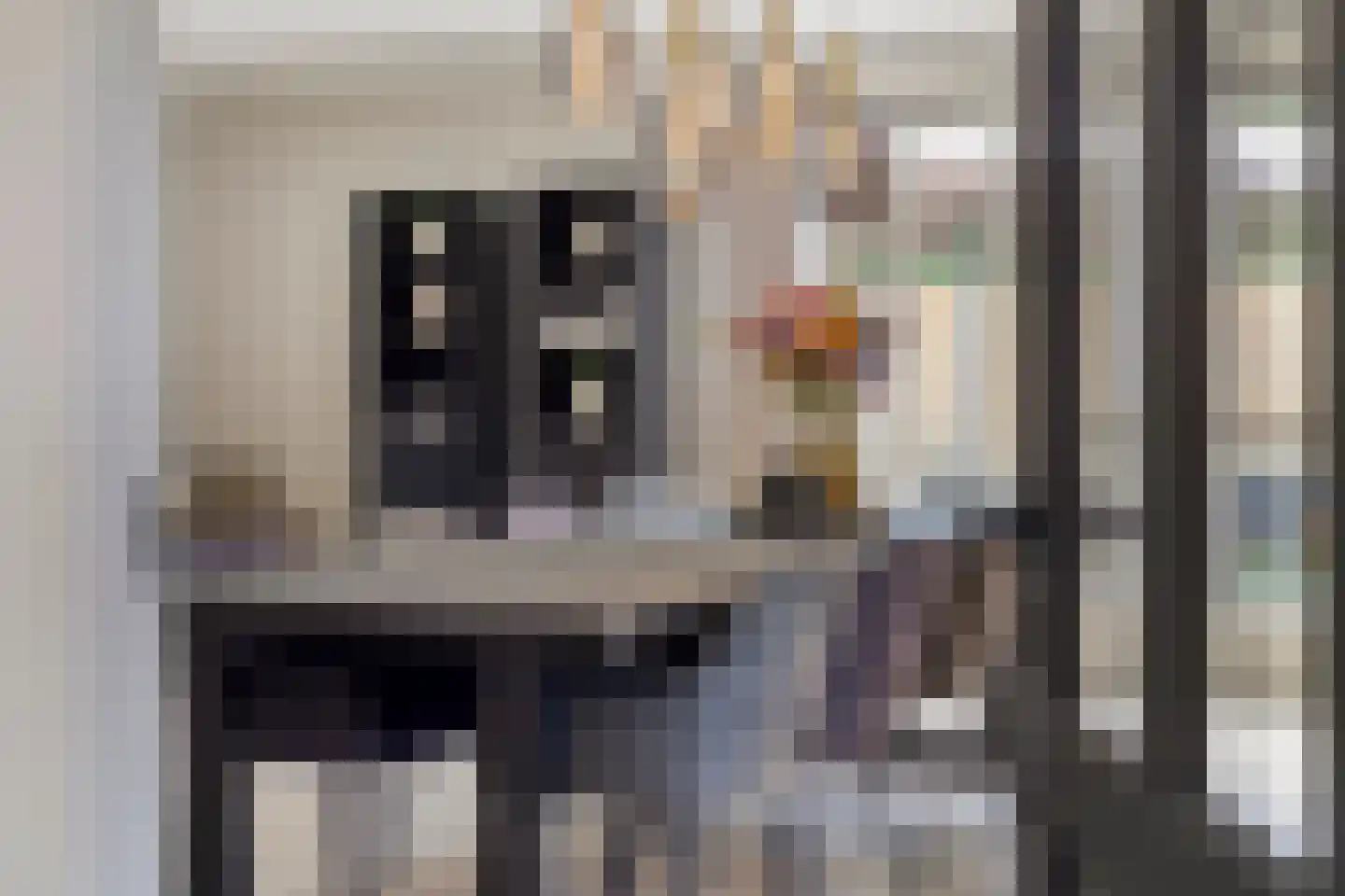 Dorpsstraat 59 A Valkenswaard thumbnail 20