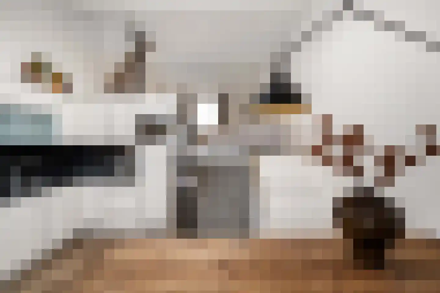 Dorpsstraat 59 Capelle aan den IJssel thumbnail 13