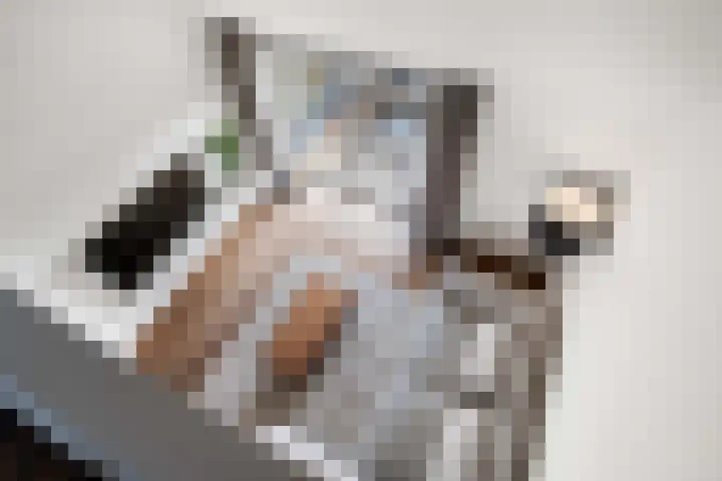 Dorpsstraat 59 Capelle aan den IJssel thumbnail 16
