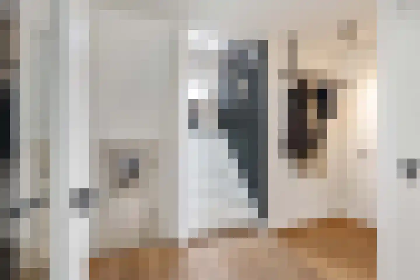 Dorpsstraat 59 Capelle aan den IJssel thumbnail 19