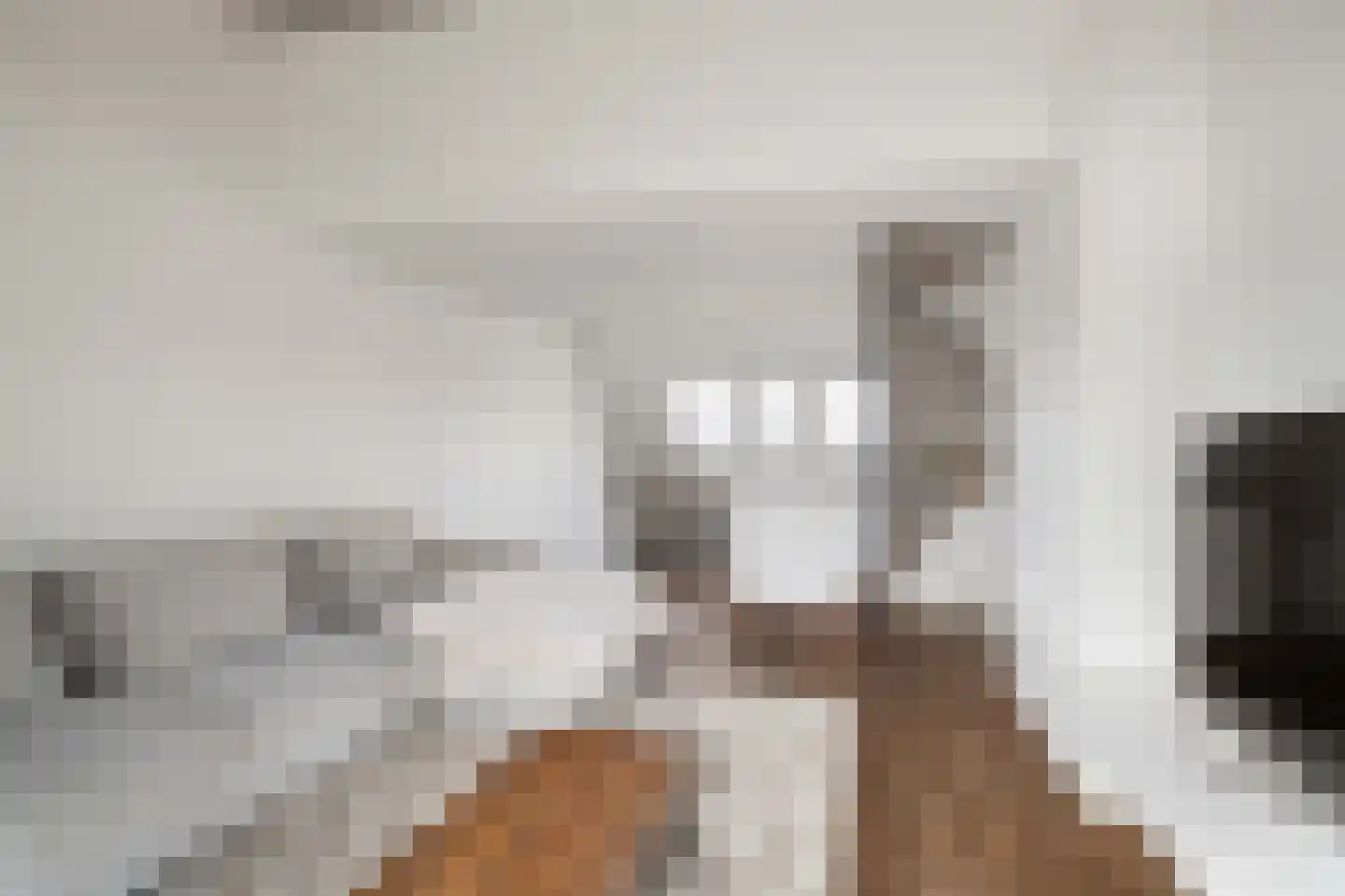 Dorpsstraat 59 Capelle aan den IJssel thumbnail 4