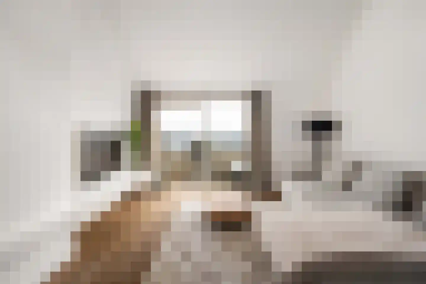 Dorpsstraat 59 Capelle aan den IJssel thumbnail 5