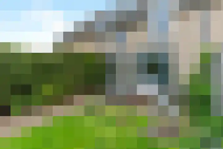 Dorpsstraat 59 Oud-Alblas thumbnail 32