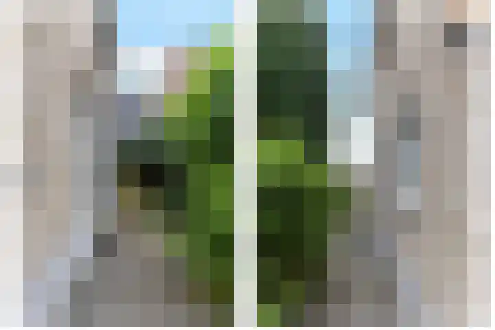 Dorpsstraat 59 Oud-Alblas thumbnail 7