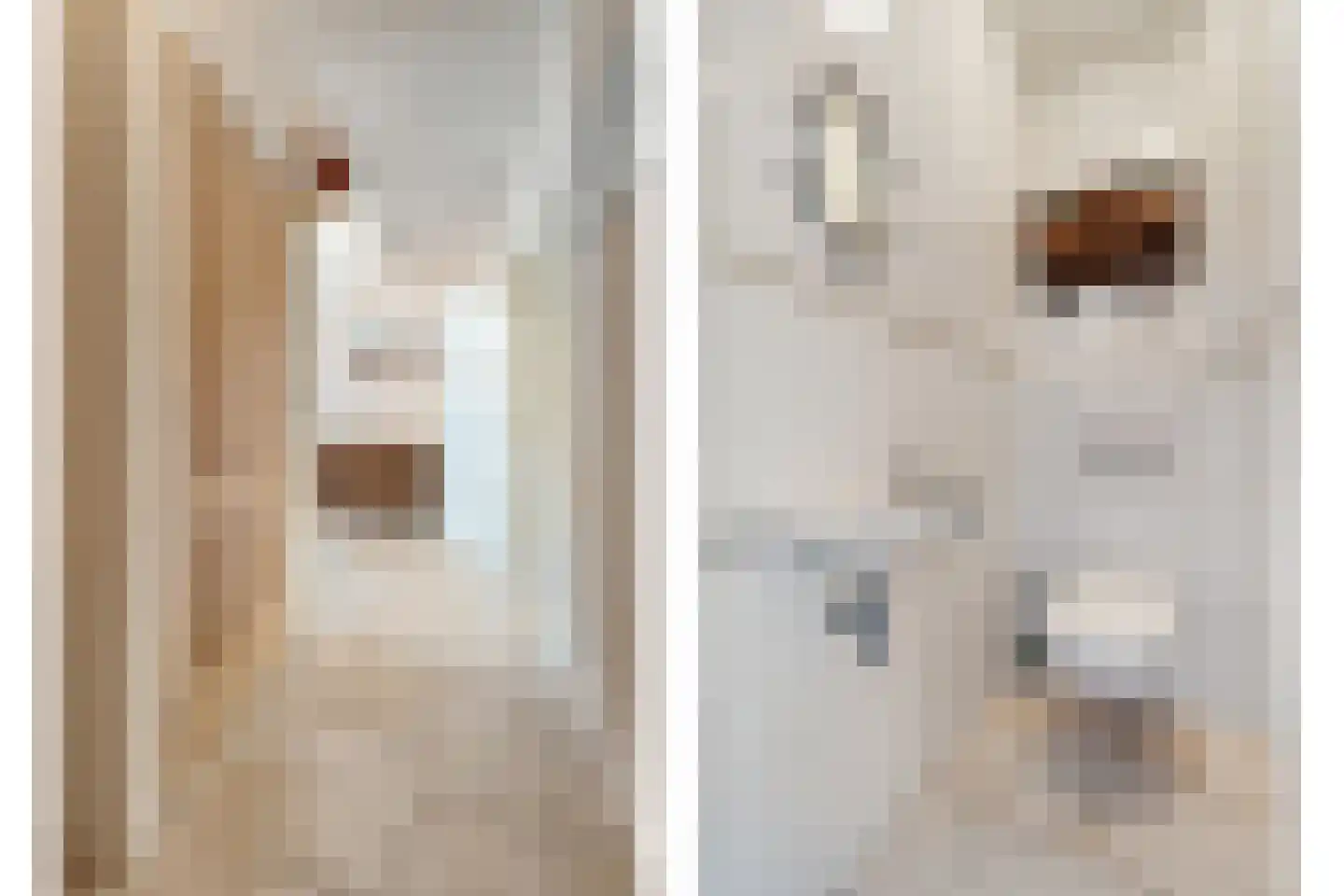Dorpsstraat 59 Tynaarlo thumbnail 19