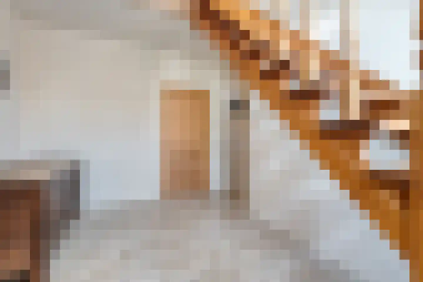 Dorpsstraat 59 Tynaarlo thumbnail 20