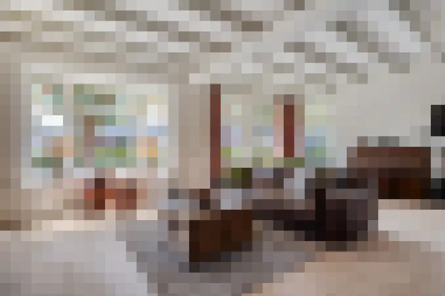 Dorpsstraat 59 Tynaarlo thumbnail 21