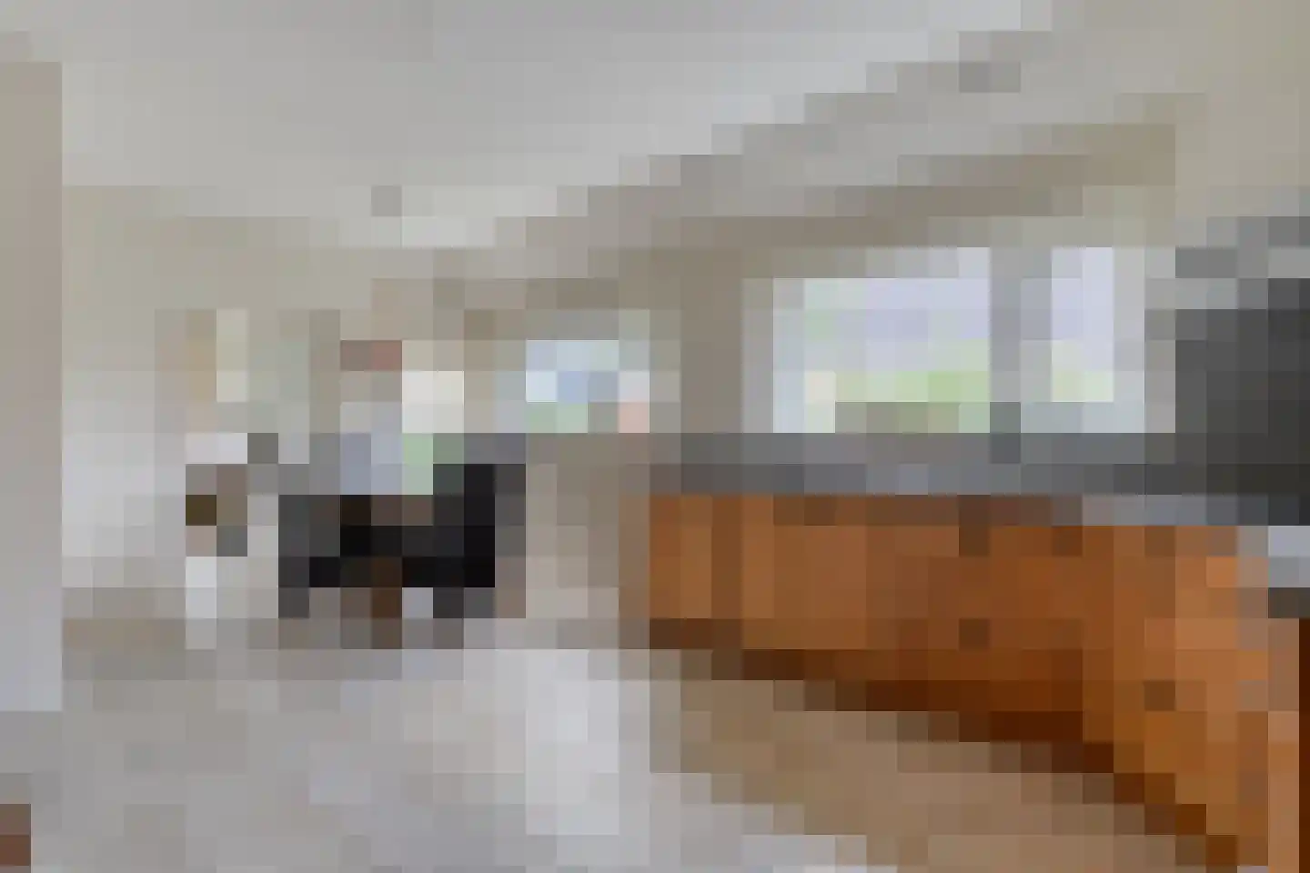 Dorpsstraat 59 Tynaarlo thumbnail 27