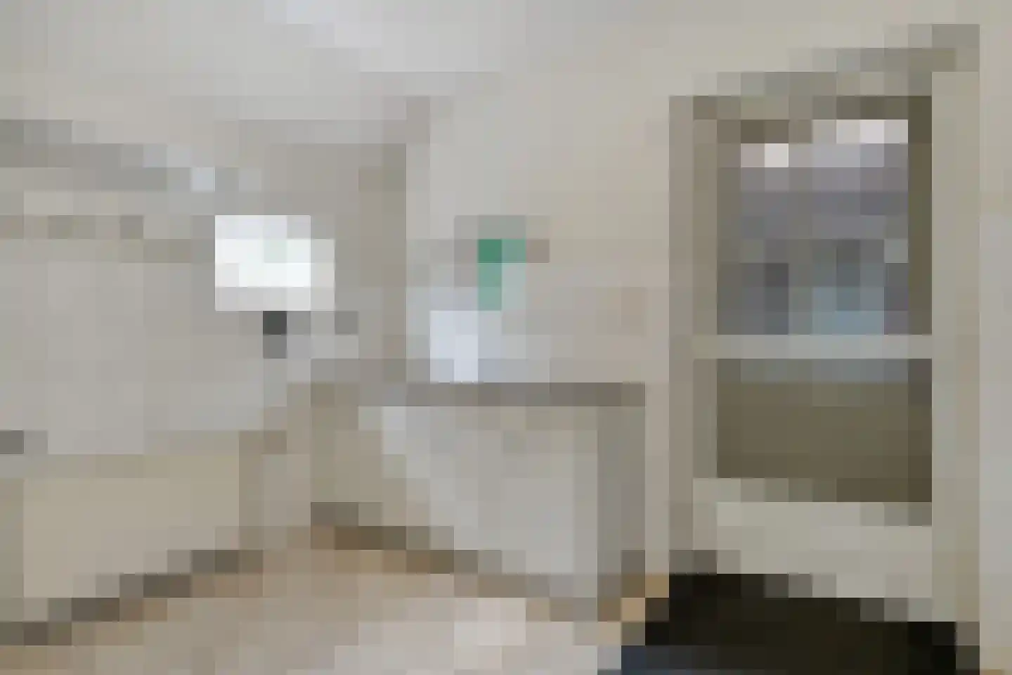 Dorpsstraat 59 Tynaarlo thumbnail 30