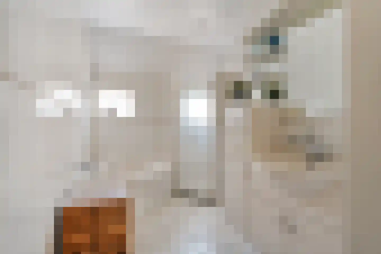 Dorpsstraat 59 Tynaarlo thumbnail 35
