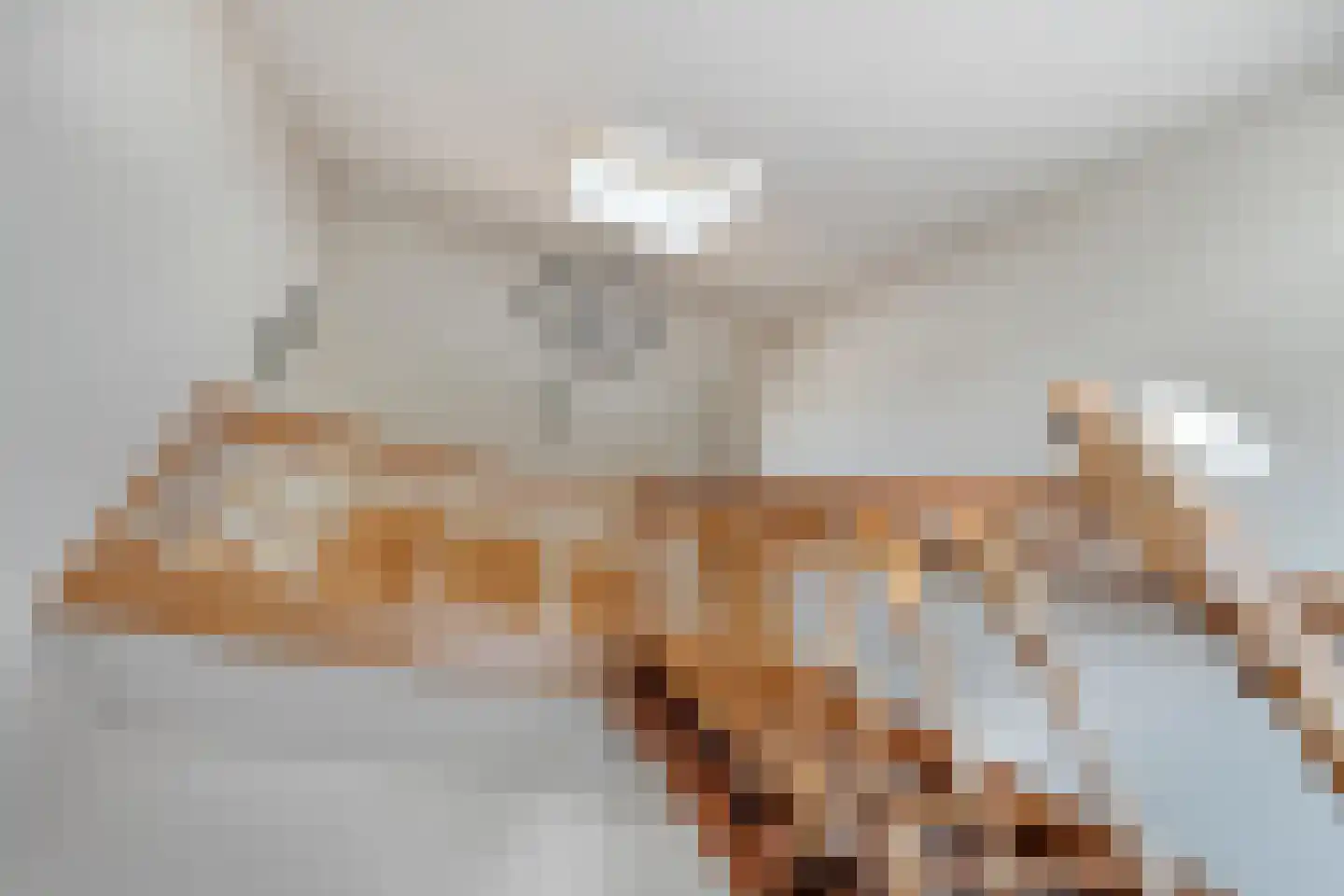 Dorpsstraat 59 Tynaarlo thumbnail 38