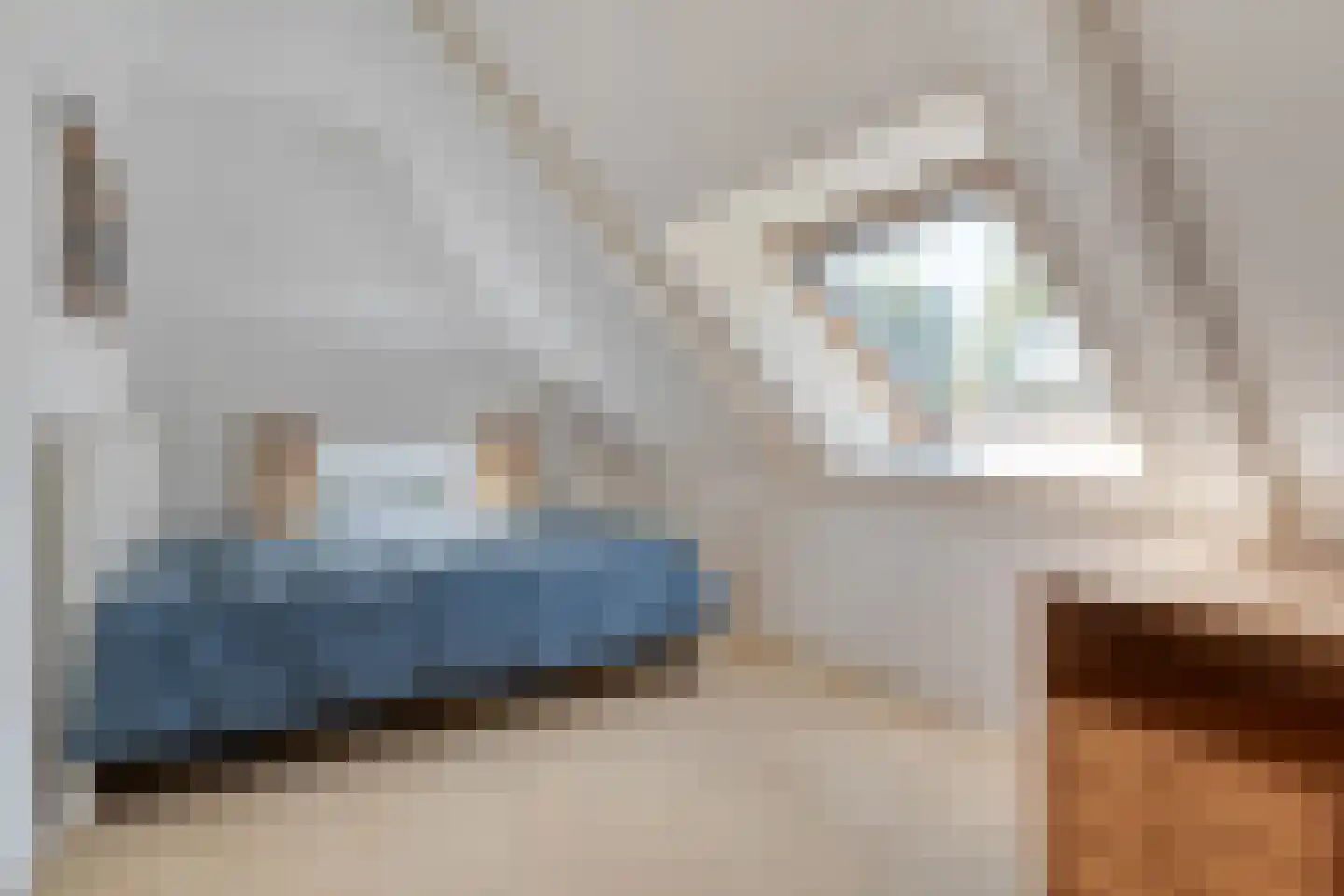Dorpsstraat 59 Tynaarlo thumbnail 42
