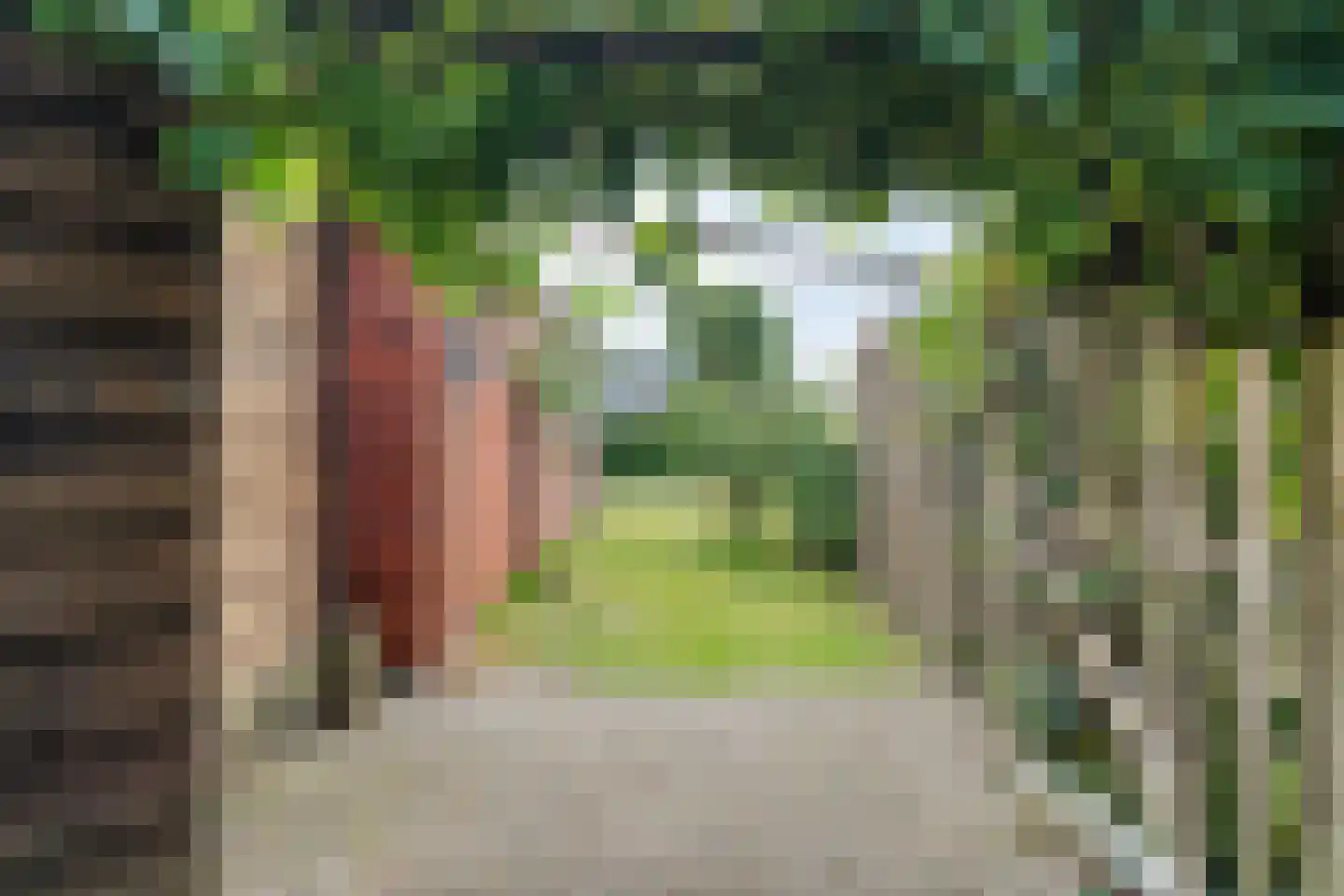 Dorpsstraat 59 Tynaarlo thumbnail 52