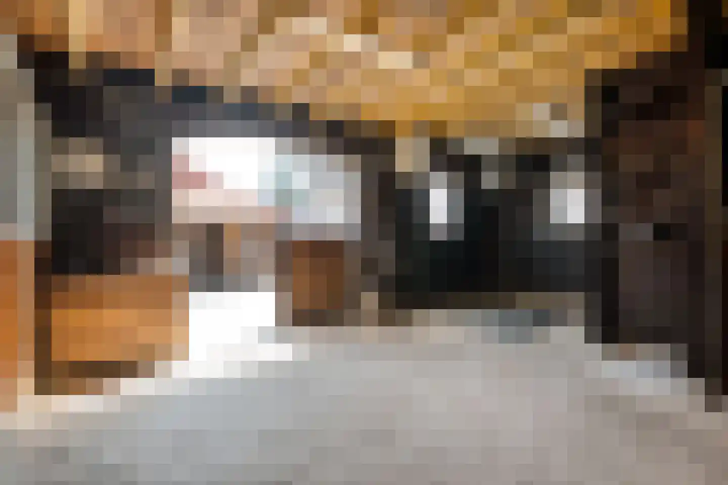 Dorpsstraat 59 Tynaarlo thumbnail 58