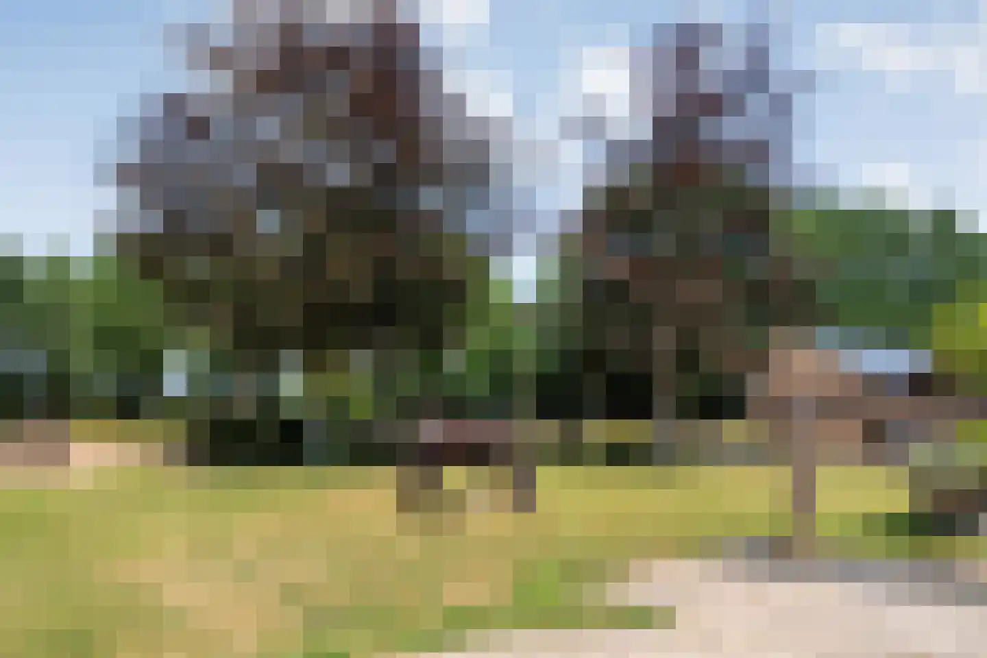 Dorpsstraat 59 Tynaarlo thumbnail 65