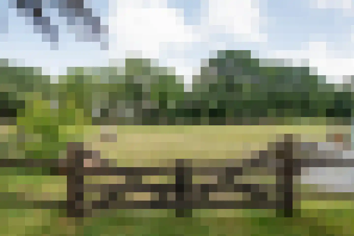 Dorpsstraat 59 Tynaarlo thumbnail 71