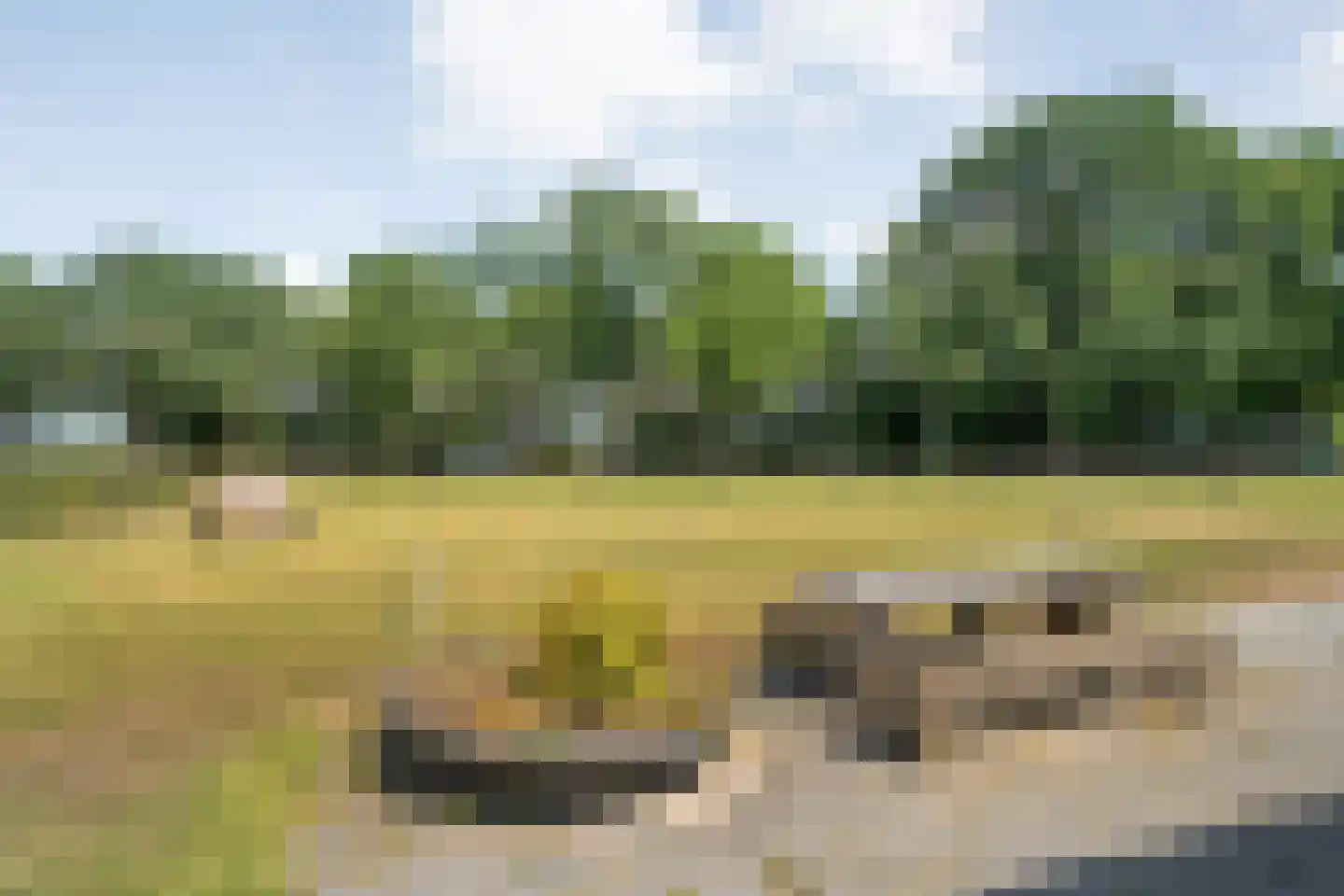 Dorpsstraat 59 Tynaarlo thumbnail 73
