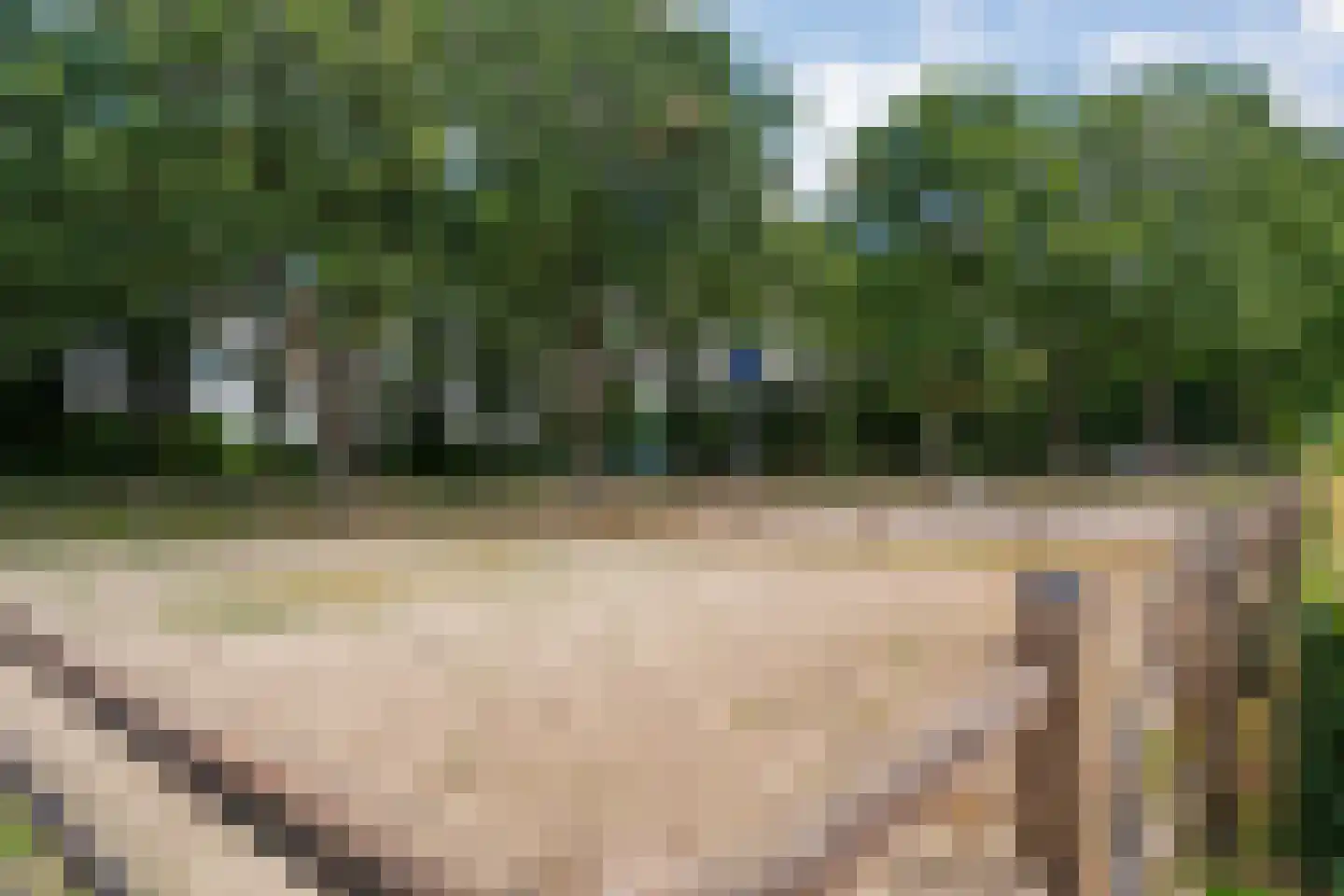 Dorpsstraat 59 Tynaarlo thumbnail 78