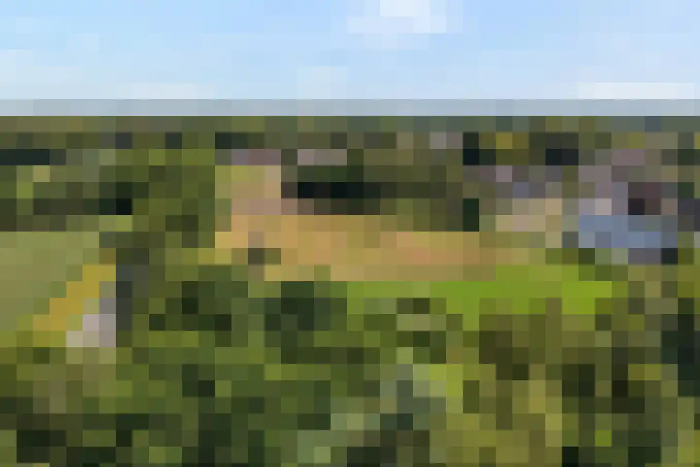 Dorpsstraat 59 Tynaarlo thumbnail 85