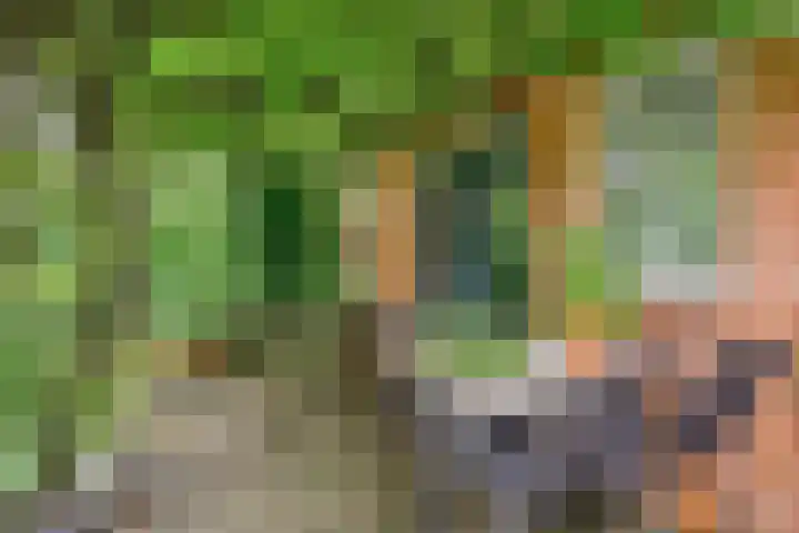 Dorpsstraat 59 Zuidlaarderveen thumbnail 31