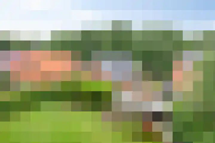 Dorpsstraat 59 Zuidlaarderveen thumbnail 36