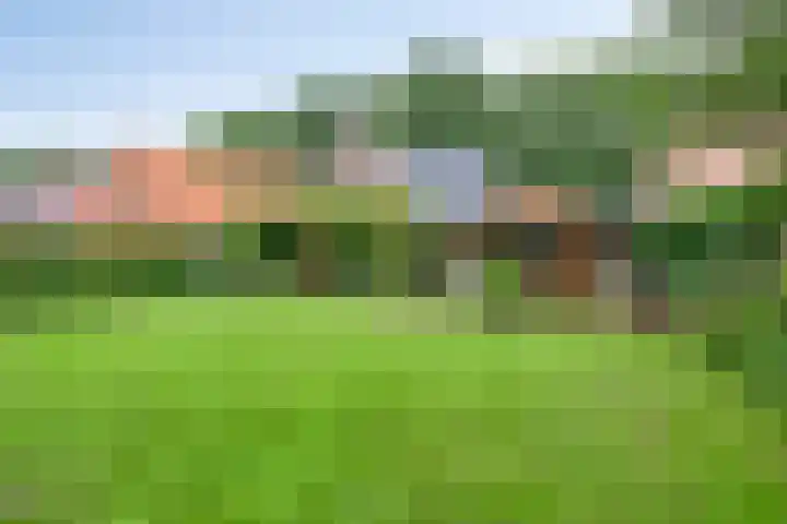 Dorpsstraat 59 Zuidlaarderveen thumbnail 4