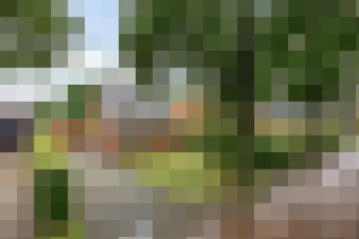 Dorpsstraat 59 Zuidlaarderveen thumbnail 5