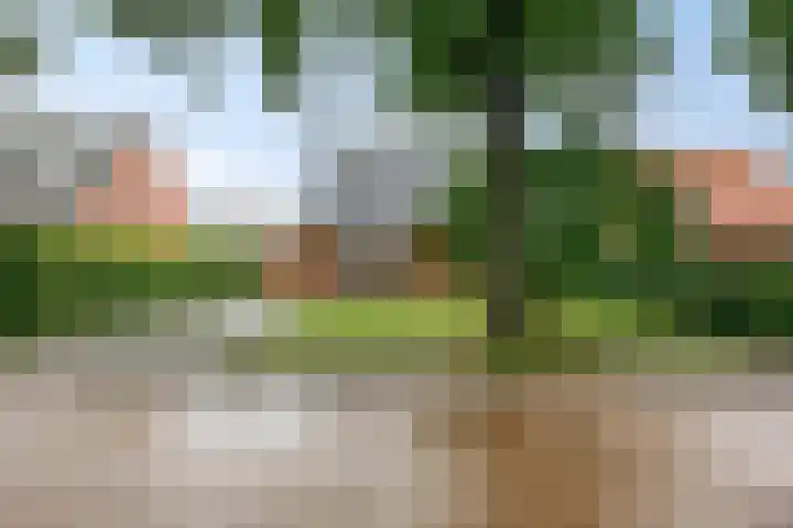 Dorpsstraat 59 Zuidlaarderveen thumbnail 6