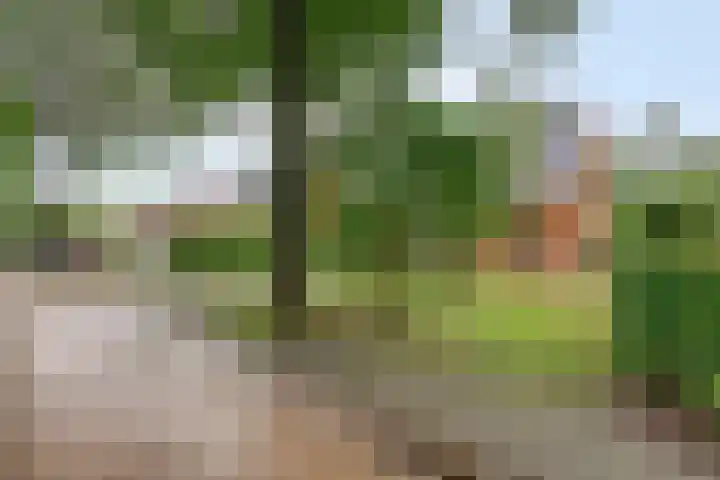 Dorpsstraat 59 Zuidlaarderveen thumbnail 7