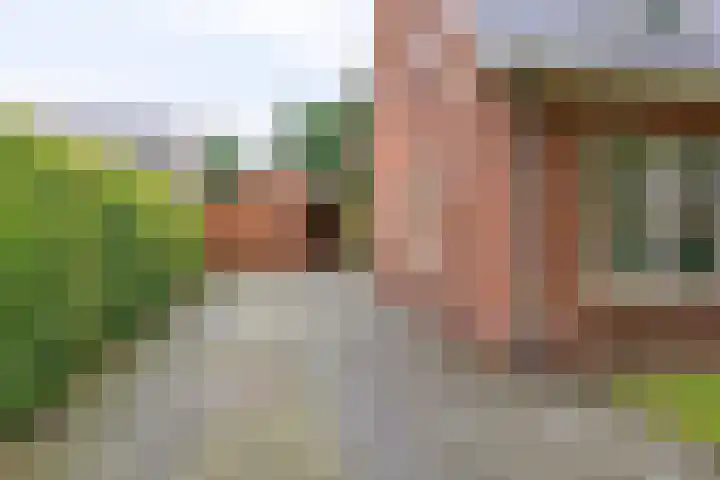 Dorpsstraat 59 Zuidlaarderveen thumbnail 8
