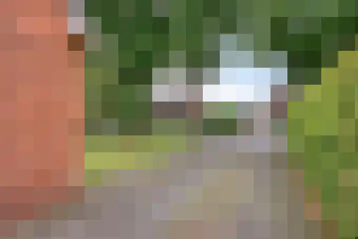 Dorpsstraat 59 Zuidlaarderveen thumbnail 9