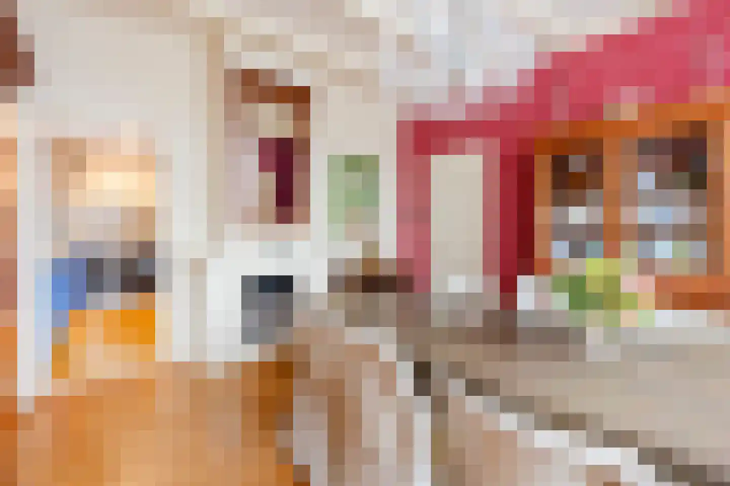 Dorpsstraat 596 Noord-Scharwoude thumbnail 17