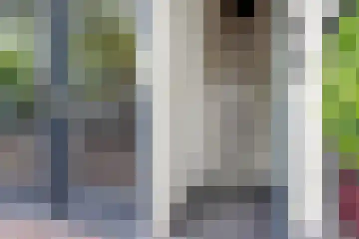 Dorpsstraat 6 A Nieuwegein thumbnail 17